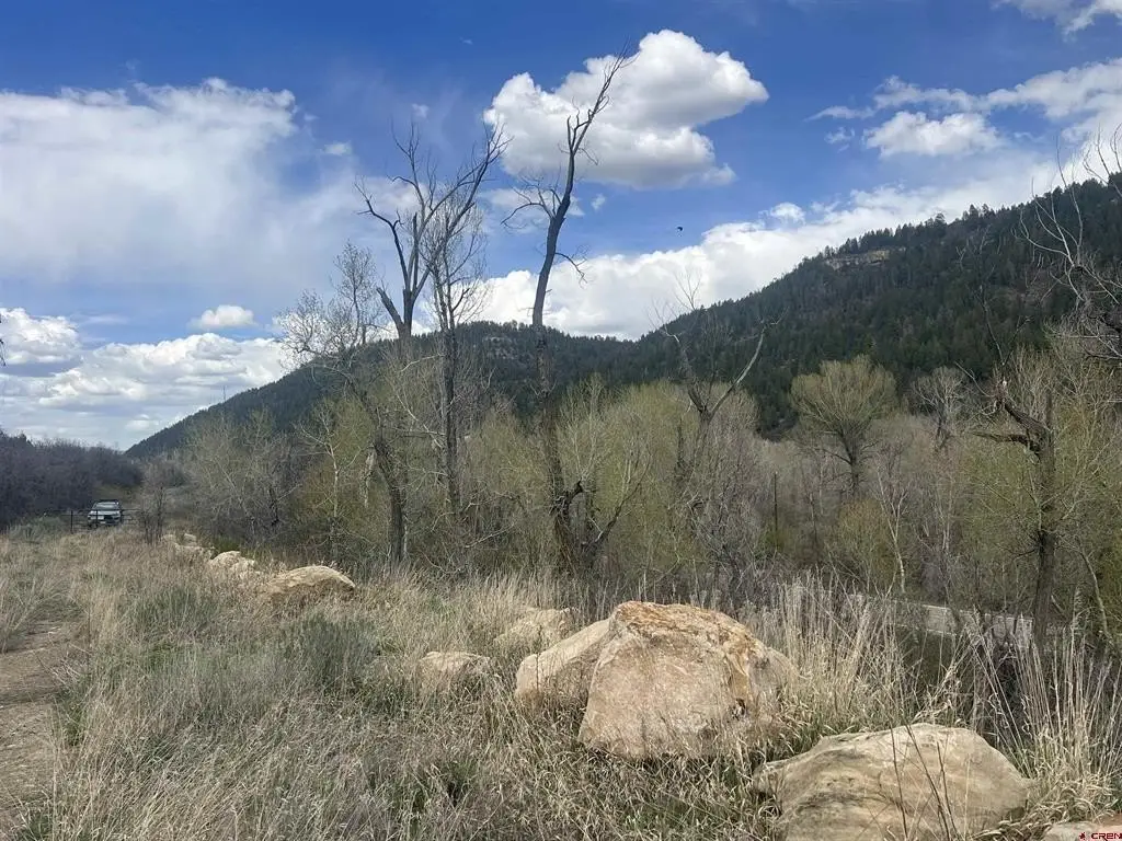 Picture 10
