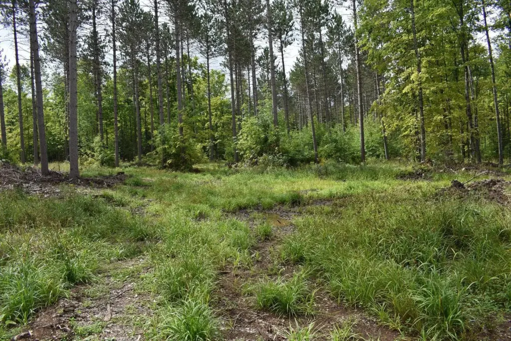 Picture 7