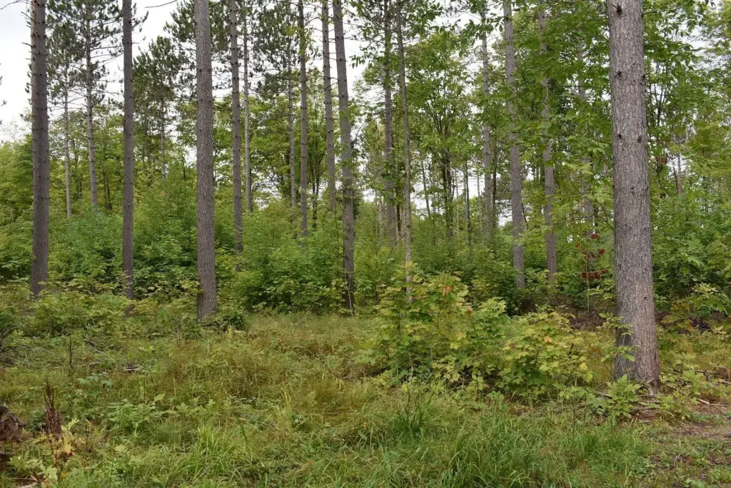Picture 24