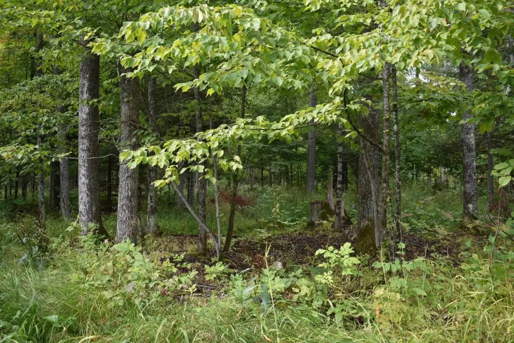 Picture 23