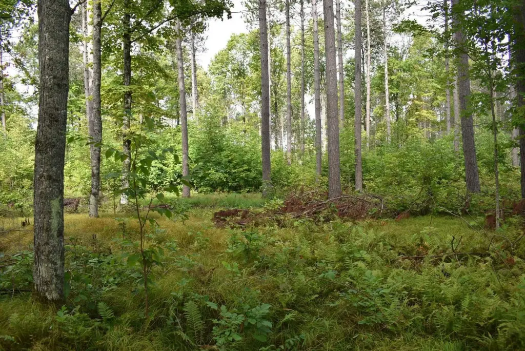 Picture 16