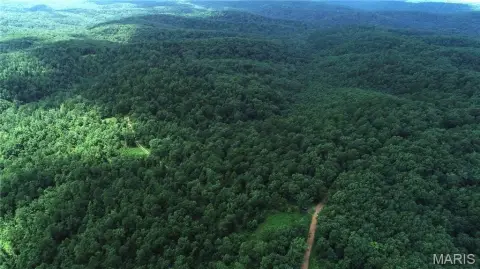 Unrestricted Land Near National Forest