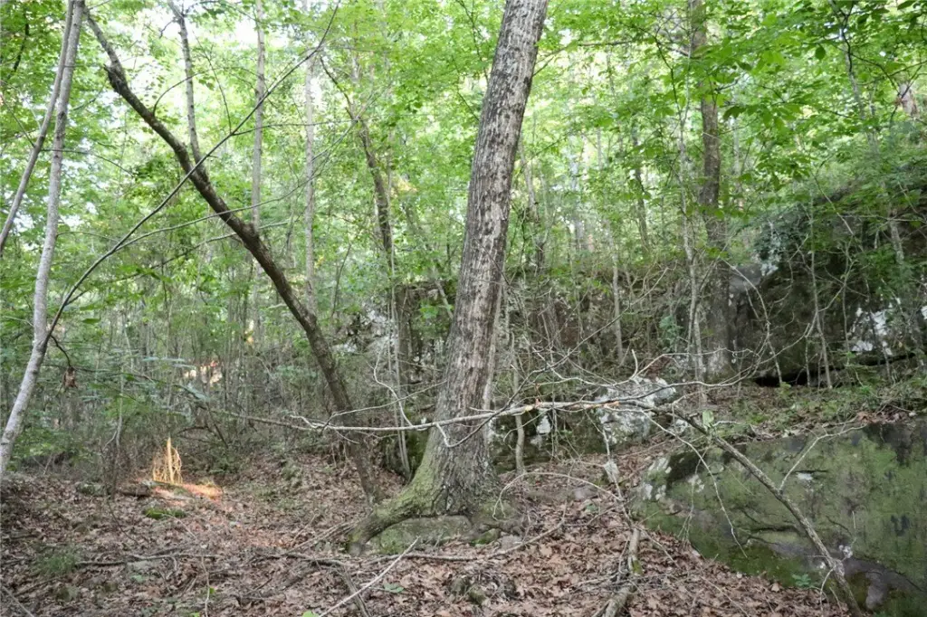 Picture 18