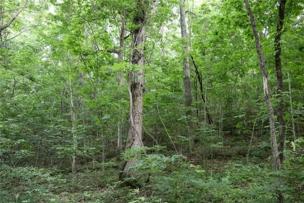 Picture 41