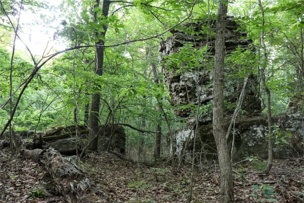Picture 24
