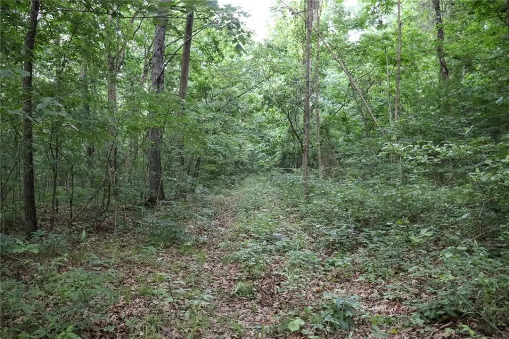 Picture 40