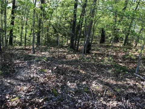Buildable Lot in Bella Vista