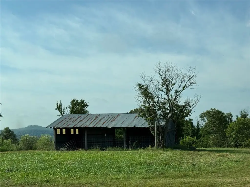 Picture 10