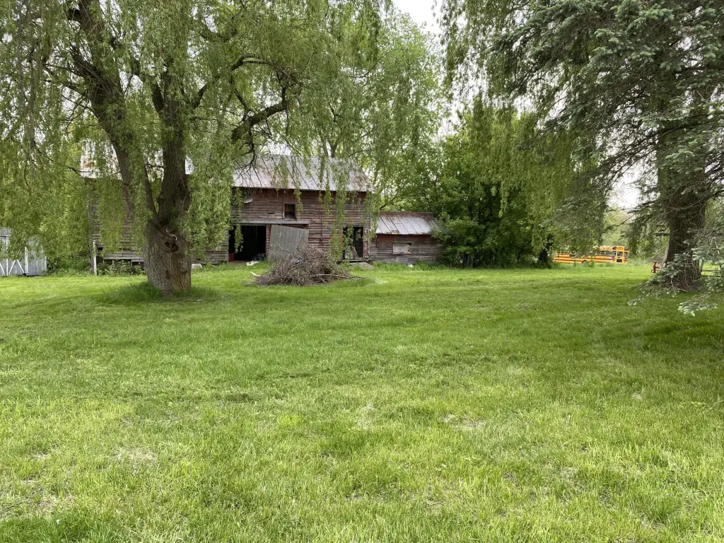 Picture 43