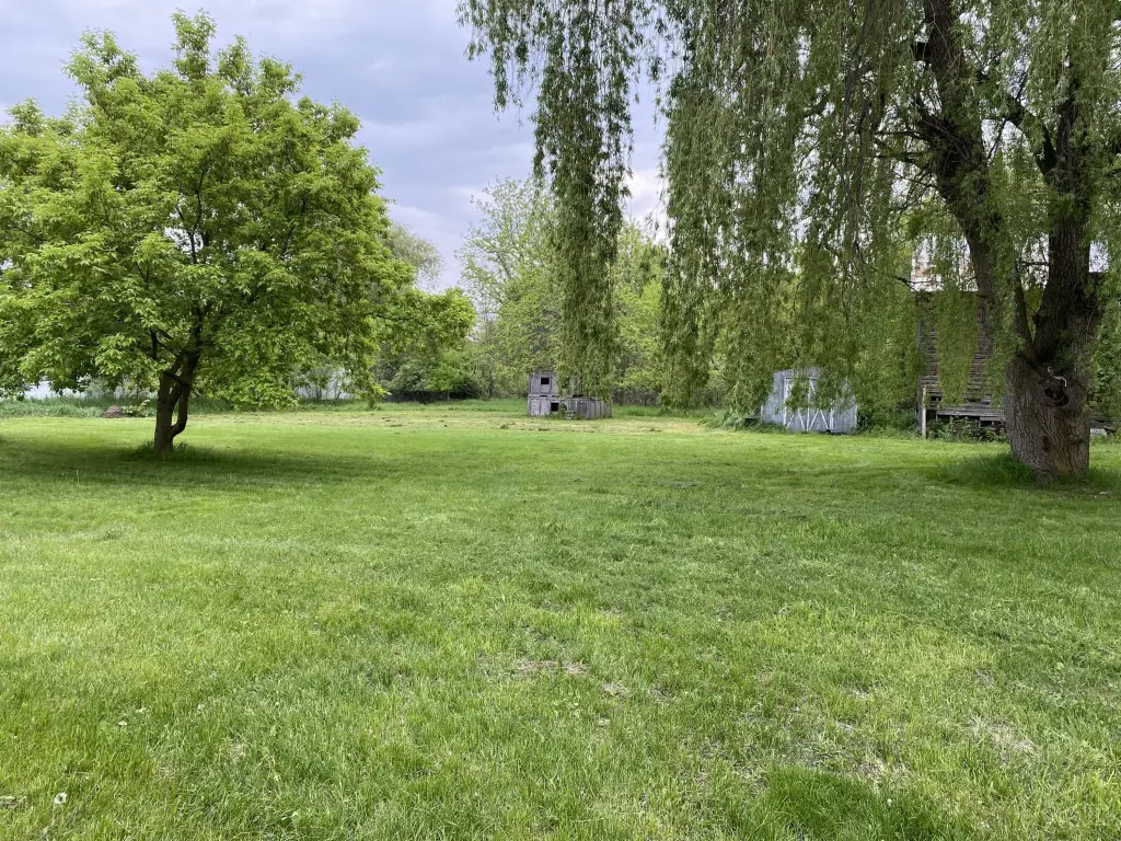 Picture 42