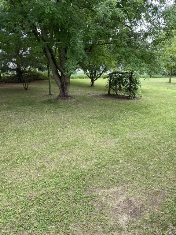 Picture 22