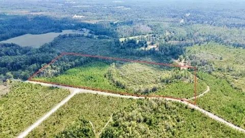 Wooded Recreational Land