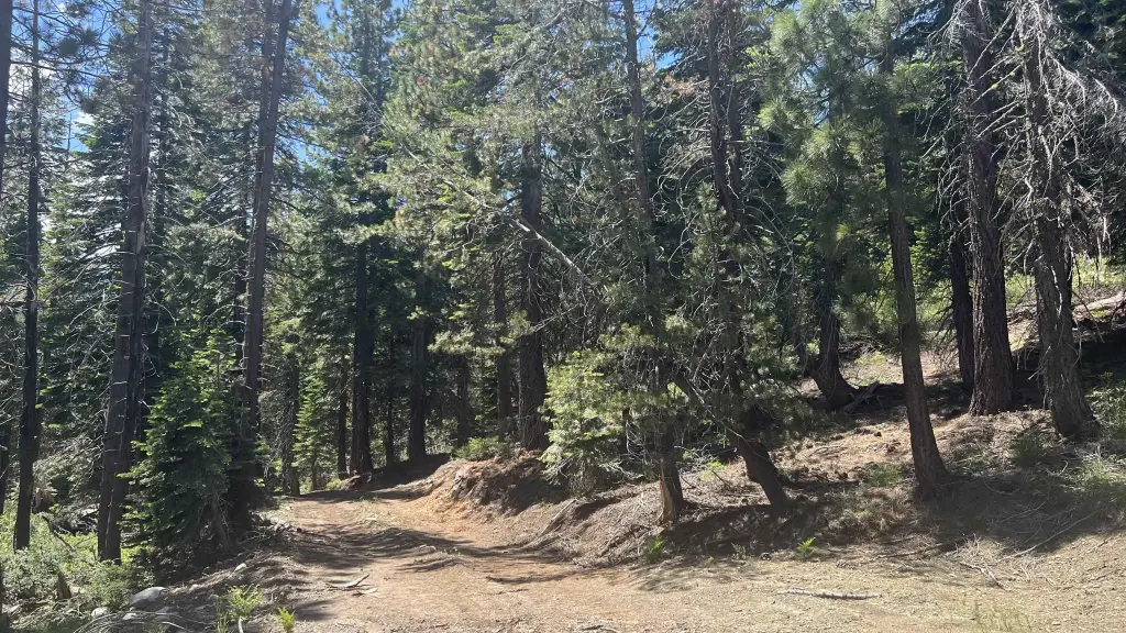 Picture 16