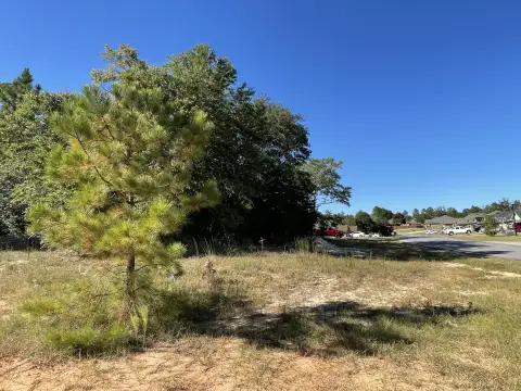 Expansive Land Parcel in Crestview