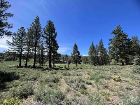 Truckee Residential Lot Opportunity