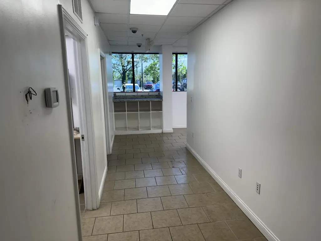 Picture 19