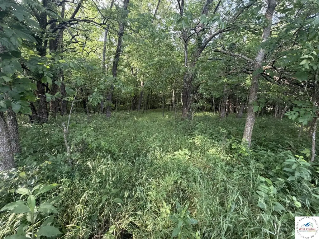 Picture 28