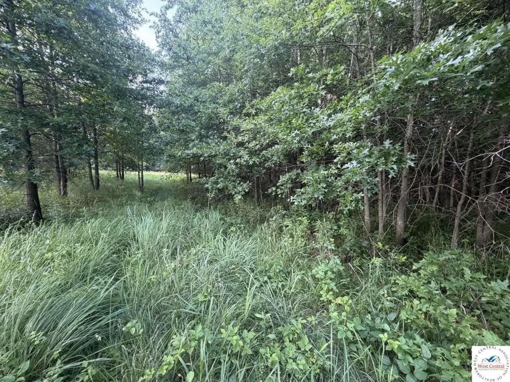 Picture 47
