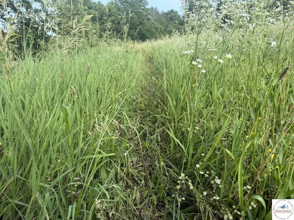Picture 21