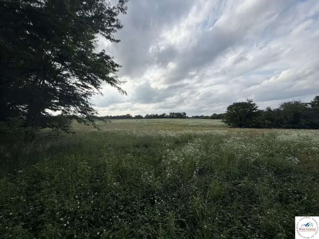 Picture 16