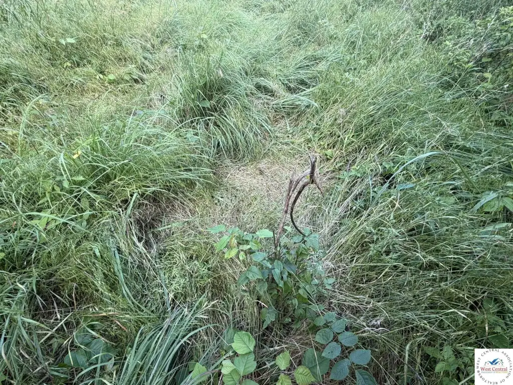 Picture 52
