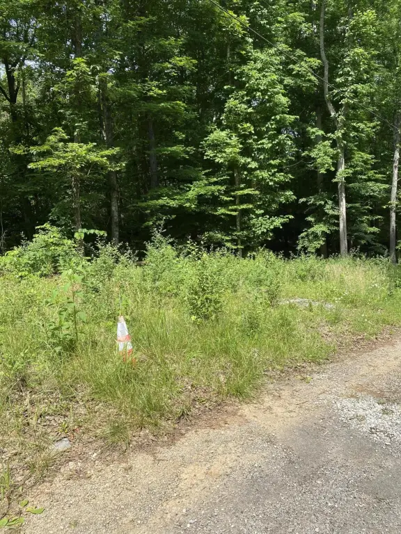 Picture 2