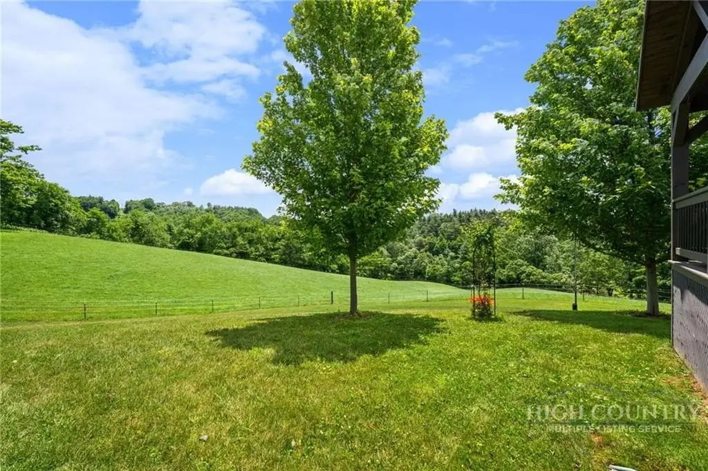 Picture 27