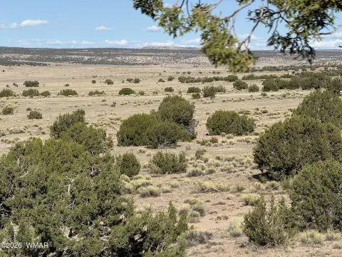 Woodland Valley Ranch Acreage