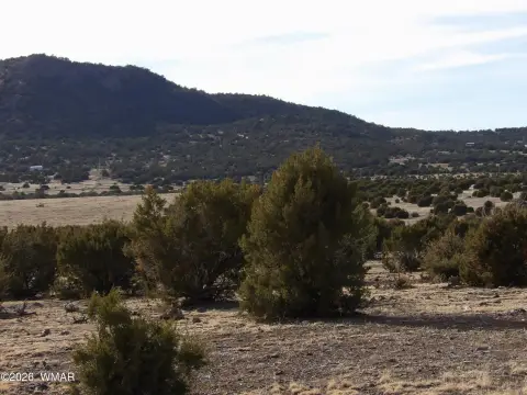 Vernon, AZ Land Parcel