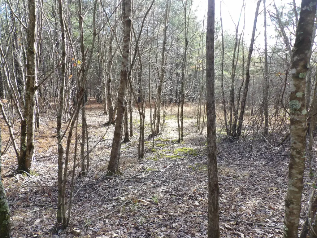 Picture 13