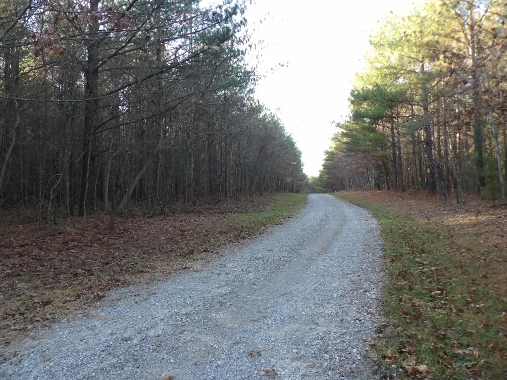 Picture 17