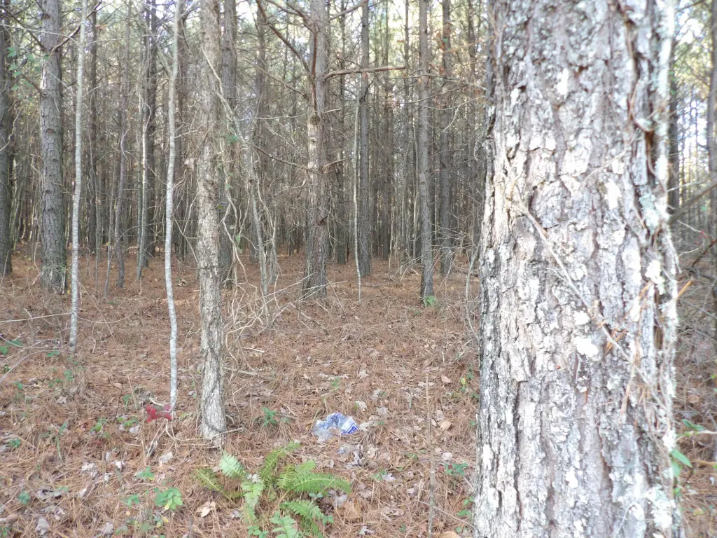 Picture 16