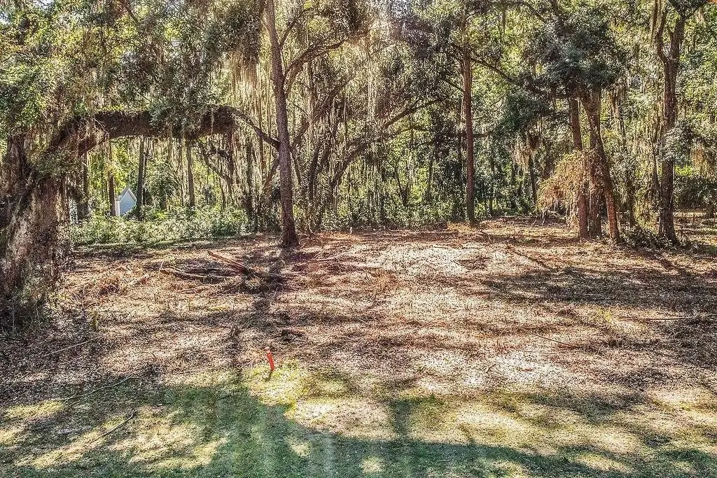 Picture 4