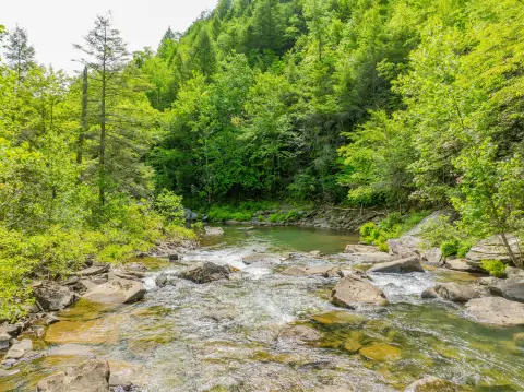 Secluded Dunlap Land with Creek