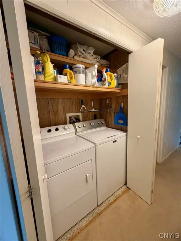 Picture 17