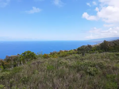 Captain Cook Land with Ocean Views