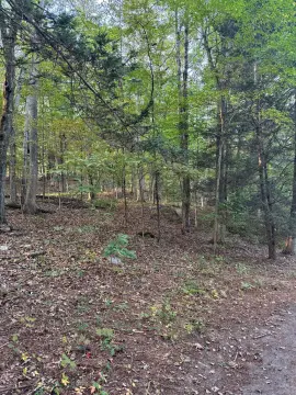 Wooded Lot in Private Community