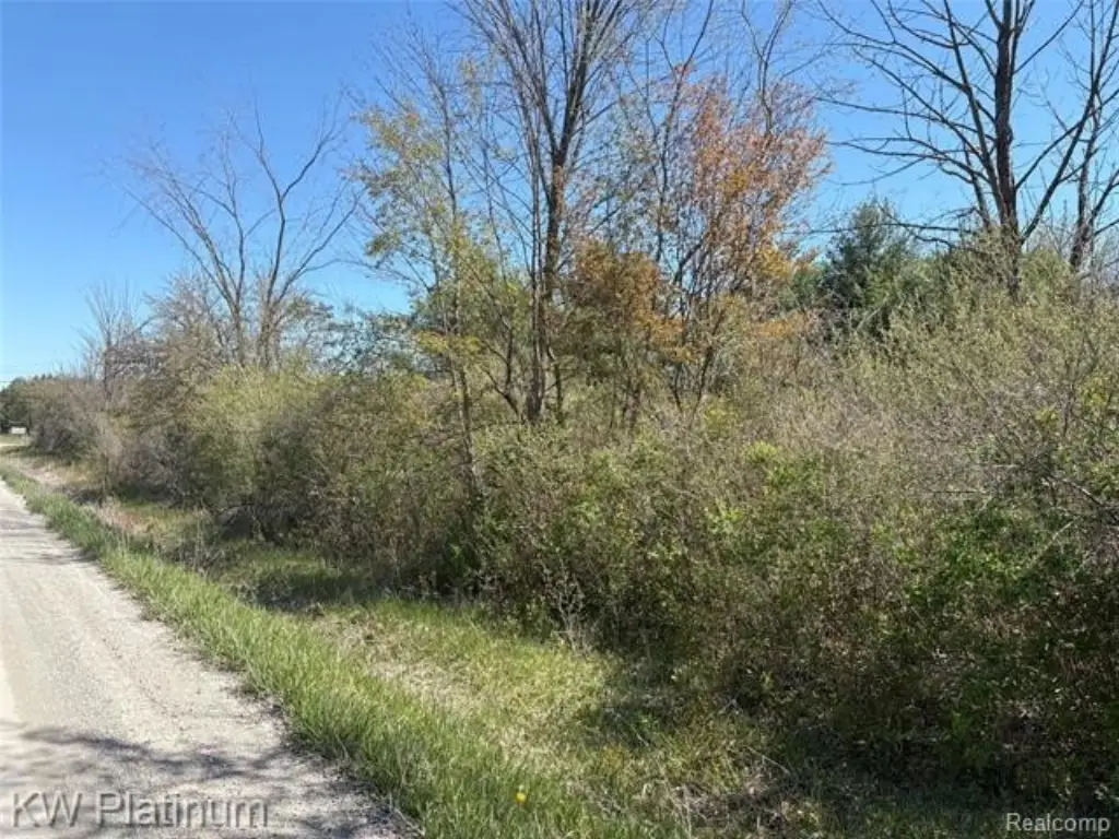 Picture 17