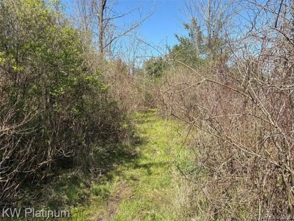 Picture 19