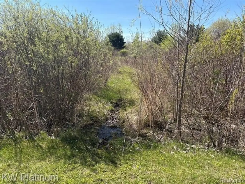 Picture 22
