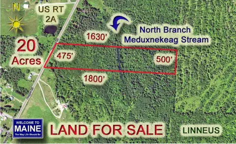 Maine Land Woodlot For Sale