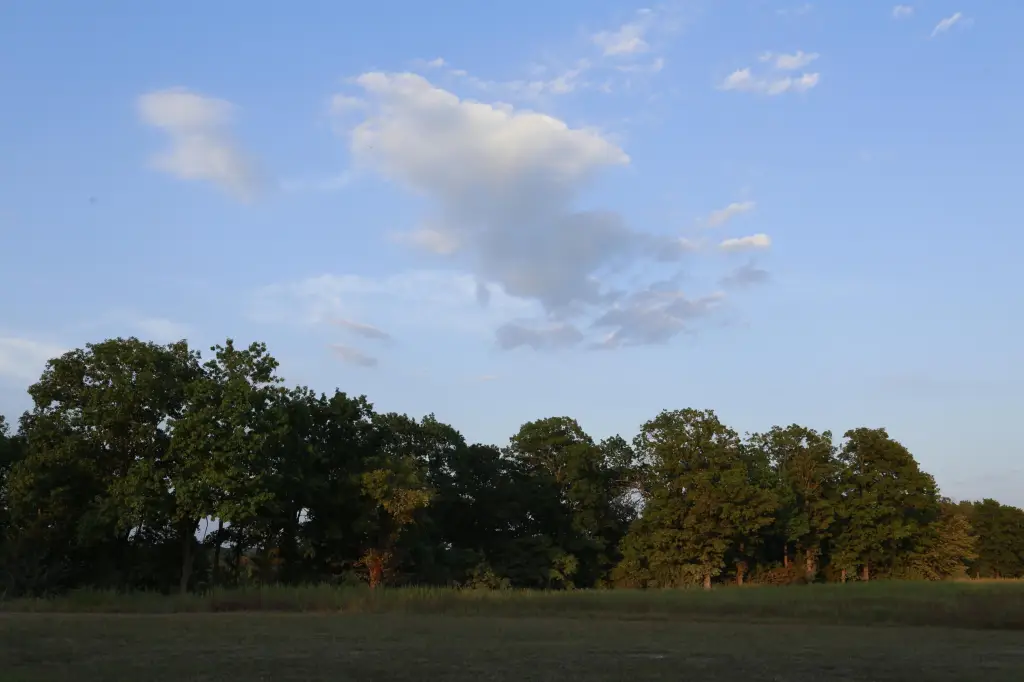 Picture 17