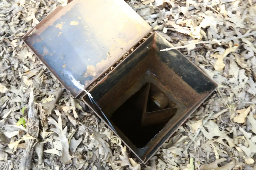 Picture 15