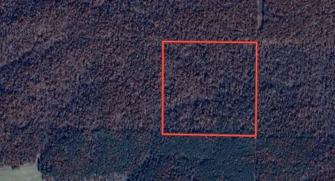 Missouri Ozarks Wooded Acreage