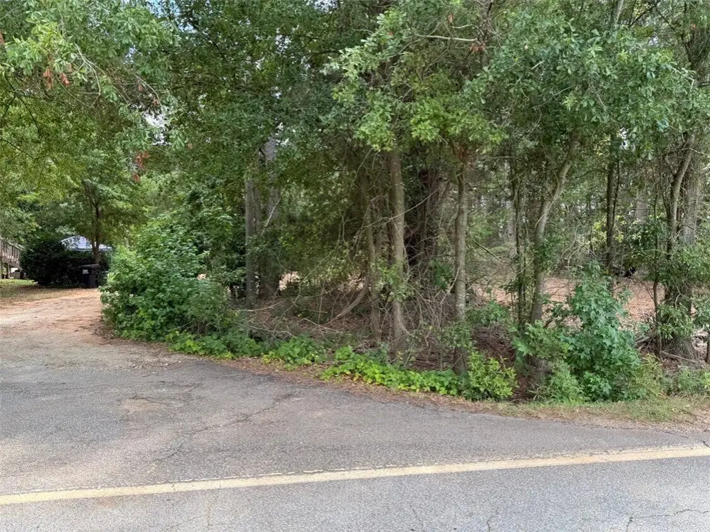 Picture 4