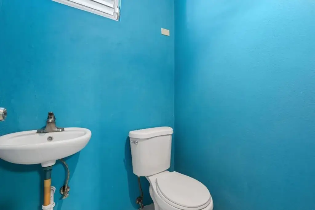 Picture 21