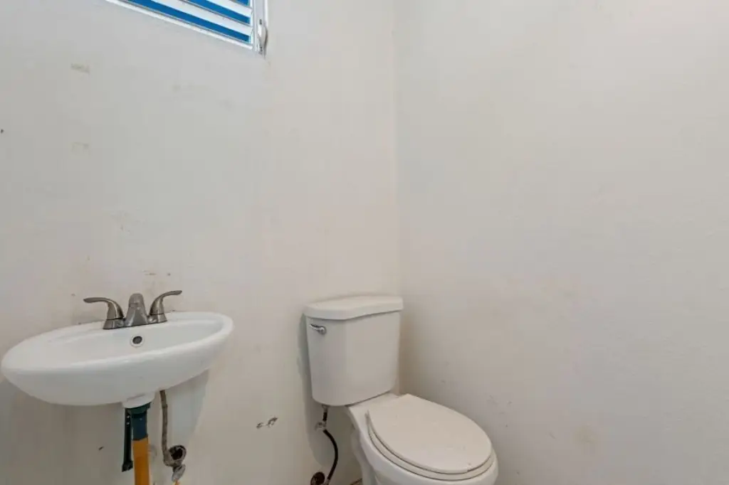 Picture 24