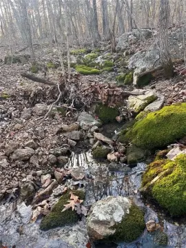 Residential Land in Cadet, MO