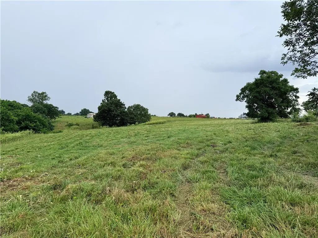 Picture 19