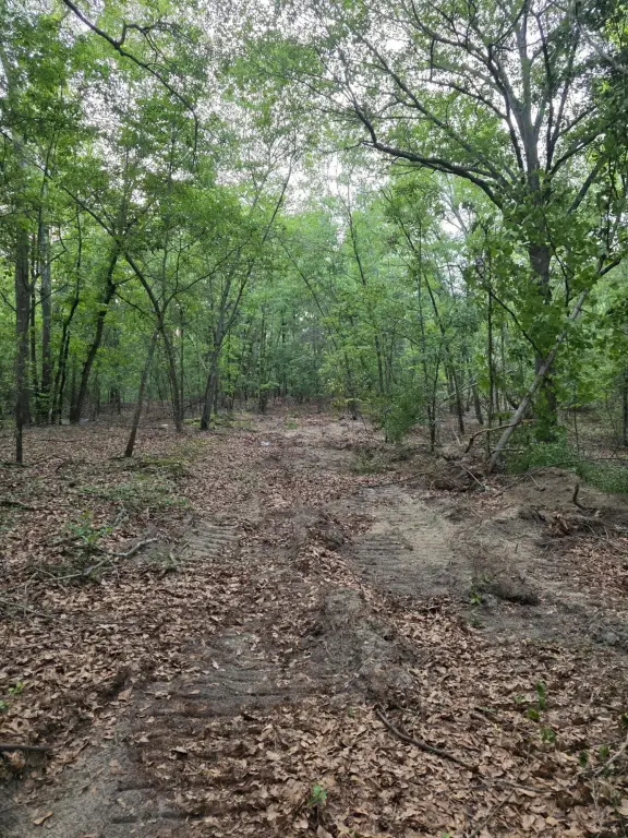 Picture 5